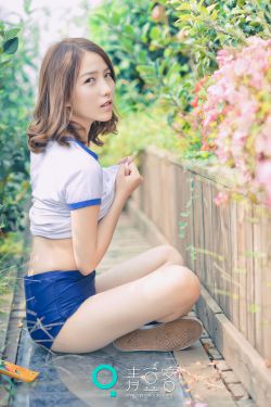 迁徙的鸟
